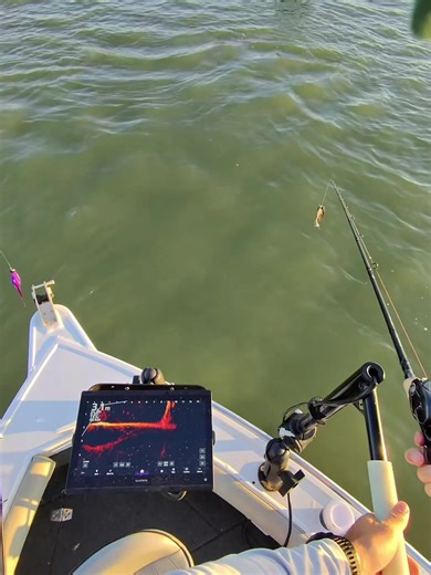 LiveScope Fishing Tips for Catching Murray Cod