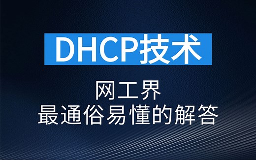 4 @网络工程师，手工配置IP地址麻烦还会出错？DHCP技术了解一下