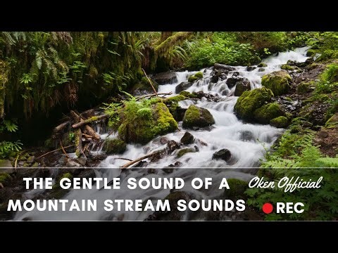 Calming Stream Sounds | Soothing Water Flow for Relaxation and Sleep
