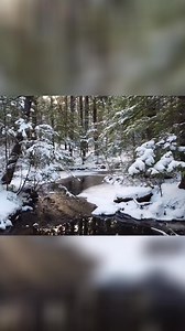 3.9K views · 60 reactions | Join us at Nature Reliance School for...