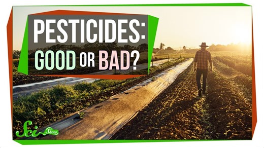 How safe are pesticides, really?