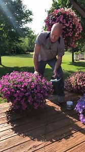 23K views · 449 reactions | How much of our Beat Your Neighbor fertilizer should you give your plants and flowers? We give this quick tip so that you can determine how much to give them when watering on #FertilizerFriday | Sharkey's Greenhouses | Facebook