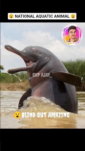 Ganga River Dolphin – Bharat Ki National Aquatic Animal! 🇮🇳