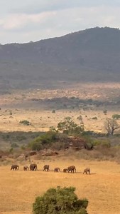 For elephants, mapping water is a matter of survival. With their highly developed sense of smell, elephants can detect water sources up to 12 miles (19.2 km) away — even if the water is subterranean. Thanks to their sophisticated spatial memories, they also have a detailed mental map of known watering points. Elephants have all the tools to find water — but with increasingly unreliable rains, it is becoming a more challenging resource. That’s where our Water for Wildlife project comes in. To dat