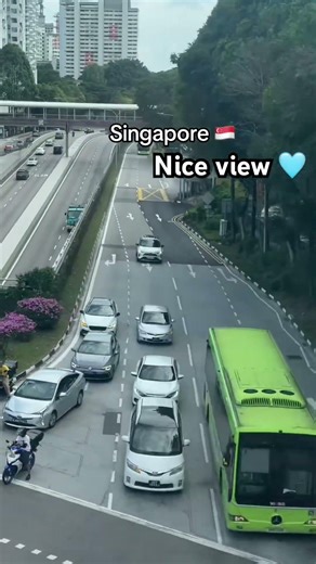 సింగపూర్ లో వాతావరణం చాలా బాగుంటాది చూడండి #2026 #nature #travel #singapore #love #telugu #tamil