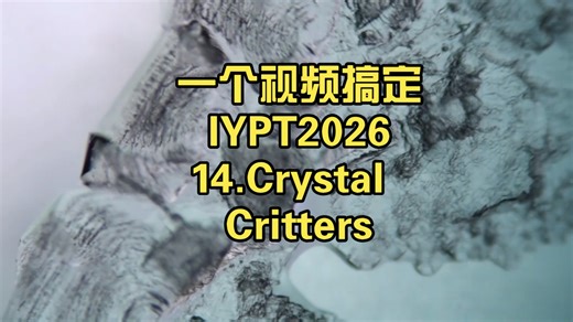 ICUPT/YPT 14.Crystal Critters 晶体小精灵