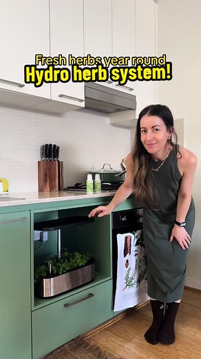 Indoor Herb Garden Hydroponic Setup