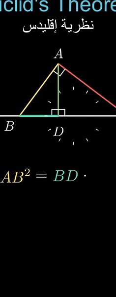 Mysf2050: I will create math and science animations using python manim for $15 on fiverr.com