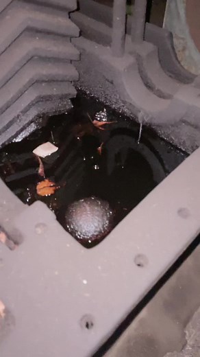 Exploring the Mystique of Still Water: Risks and Beauty