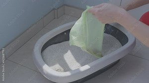 Black cat walking past homeowner taking feline poop from spacious litter. Fluffy animal watches woman cleaning cat toilet tray from feces