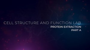 Protein Extraction, Part A