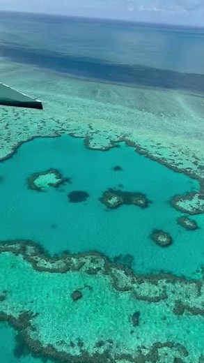 Great Barrier Reef: Das größte Korallenriff der Welt