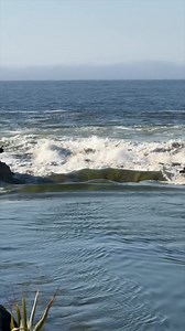 Watch This Beach Transform in Just 60 Seconds! | Blair Conklin