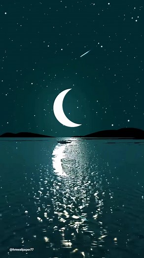 Live Wallpaper on TikTok