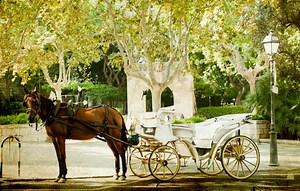 Swing Low, Sweet Chariot 歌詞の意味・日本語訳