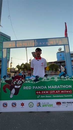 #RunWildSaveWild What runners 🏃 🏃‍♀️ 🏃‍♂️ said about tomorrow’s Red Panda Marathon. #RedPandaNetwork Play for Nature Dayahang Rai | Red Panda Network