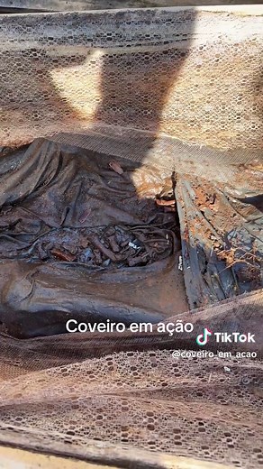 Coveiro em Ação: Processo de Sepultamento