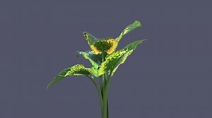 Tetrachromia by Universal Everything is a new series of hyperreal digital artworks representing the expanded range of colours that exist beyond human perception. The first three works have been released exclusively on Sedition in limited to editions of 10. View and buy: https://www.seditionart.com/universal-everything/collection/tetrachromia-part-1 | Sedition