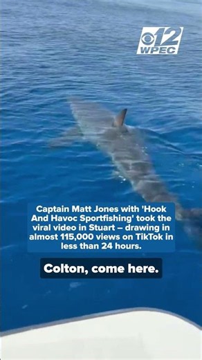 Massive great white shark spotted in Treasure Coast waters