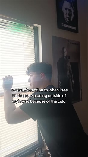 Its gonna sound like WW3 out there #fyp #viral #trending | Trees Exploding From Cold Weather