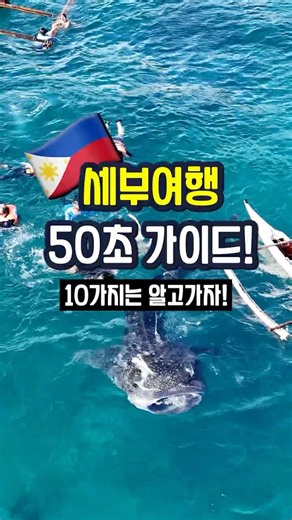 👆클릭👆세부가처음이시면 클릭클릭! #세부여행 #세부자유여행