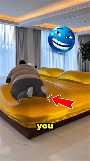This Is What REALLY Happens When You Sleep on a Water Bed 😳