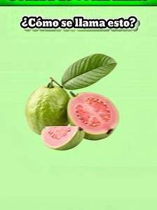 Spanish Vocabulary Test