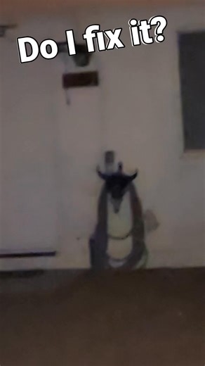 Sometimes I throw the newspaper into the weirdest places... Thought I could leave it but could only imagine losing out because they didn't look in the dumbest spot. #newspaper #delivery #nailedit | Pishposh Live