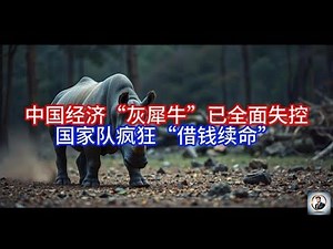 【Boss雜談】中国经济“灰犀牛”已全面失控，国家队疯狂“借钱续命”