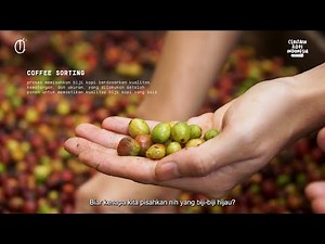 Ceritain Kopi Indonesia #1 - Java Palalangon