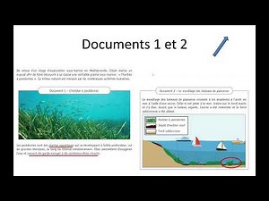 CE1D Sciences 2022 - question 2