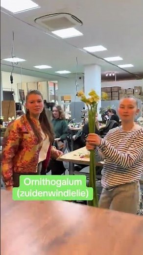 Open dag mbo | Zone.college