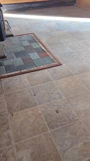 A house built in 1845 is guaranteed to have a scary dungeon basement and sketchy stairs😳🫣#scarybasement #junkremoval #basementcleanout #canandaigua