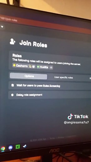 Guía completa de Sapphire: Bot de Discord para tu servidor