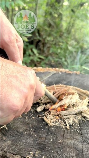 Making Fire with a Ferro Rod and Punky Wood #shorts