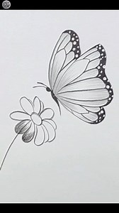 Butterfly Easy Drawing | Pencil Sketch #drawing #pencilsketch | Drawing Book