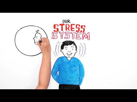 Adverse Childhood Experiences (ACEs) Impact on Brain, Body and Behaviour