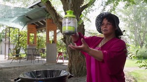 Amazon.com : RESCUE! Outdoor Fly Trap - Reusable - 3 Traps : Patio, Lawn & Garden