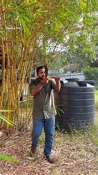 വെട്ടിയ സാധനം കണ്ടോ #keralafishing #shorts