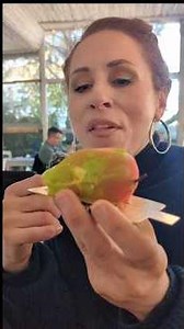 ΠΑΘΑΜΕ ΠΛΑΚΑ!??😋😋❤❤ΕΠΙΤΕΛΟΥΣ ΤΑ ΔΟΚΙΜΑΣΑ #yummy #viralfruits #fruitdesserts ‪@reasway8308‬