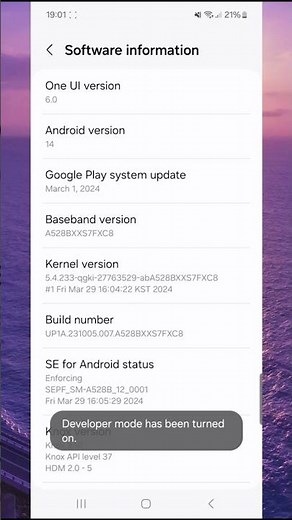 How to Enable Developer Options on Android