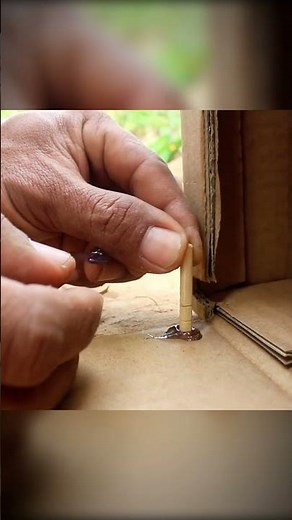 Easy Bird Trap with Cardboard | Jungle Survival