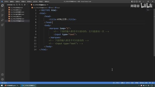 尚硅谷前端入门html css零基础教程，零基础前端开发html5 css3视频_P17_017_HTML字符编码