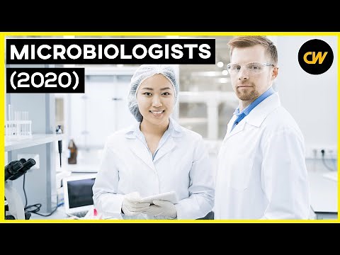 Microbiologist Salary (2020) – Microbiologist Jobs