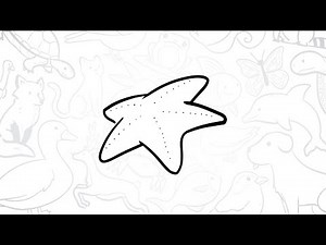 How To Draw a Simple Starfish | Step-by-Step Lesson