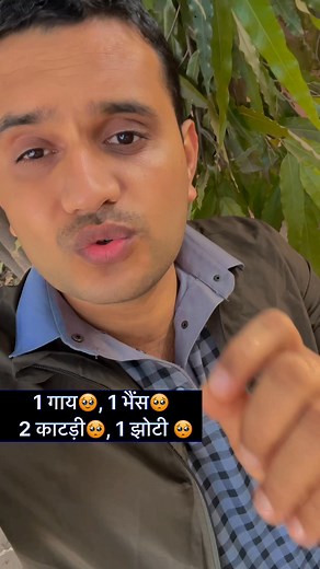 314K views · 12K reactions | #pashu #gaay #bhains #animal #cow | Naveen Nalwa | Facebook