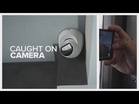 VIRAL: Tampa Bay Rodeo rider gets run over by horses over the weekend