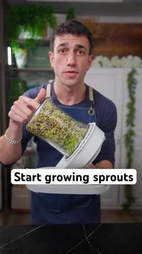 Start growing sprouts with the sprout kit. Comment SPROUTS for the link #broccolisprouts #sprouting