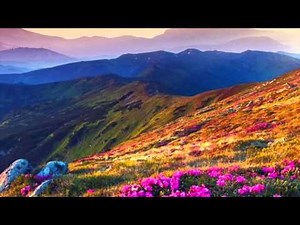 Reiki for Depression