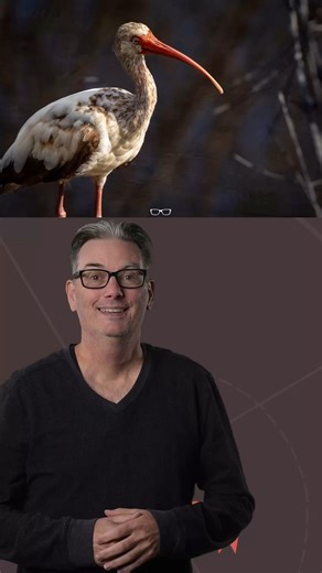 Photography beginners, can you see the mistakes I made in this photo?...